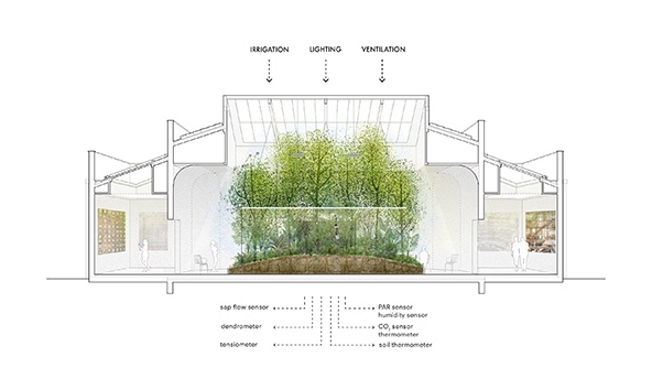 Hệ thống vi khí hậu tự nhiên, hướng đi mới thay thế điều hòa không khí truyền thống