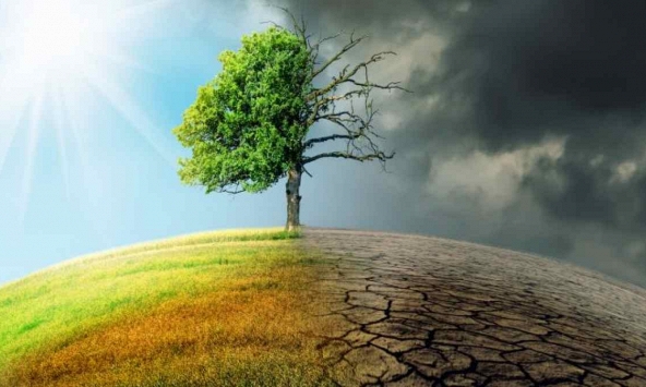 Nữ giới trong quản trị khí hậu tại Việt Nam: Vai trò, cơ hội, rào cản và giải pháp