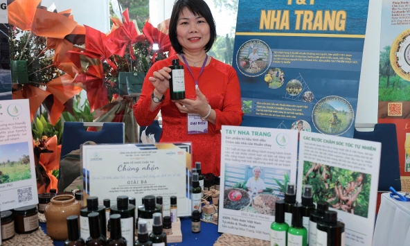 Thời đại start-up và những lưu ý cơ bản về quyền sở hữu trí tuệ