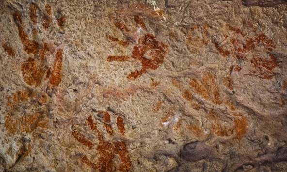 Con người tránh nguy cơ tuyệt chủng 41.000 năm trước nhờ kem chống nắng