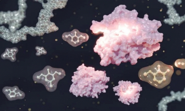 Biến phế phẩm gỗ thành “vàng” với quy trình xanh bền vững