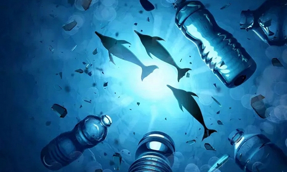 Vi nhựa đang “phủ sóng” ở mọi độ sâu đại dương