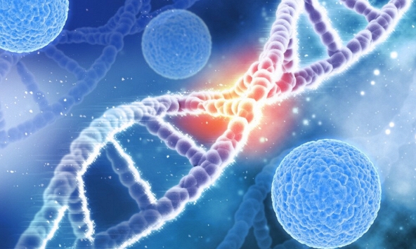 Tìm hiểu về bệnh lý đơn gene gây nguy hiểm cho trẻ