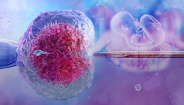 Phương pháp IVF mới giúp tăng khả năng sống của tinh trùng