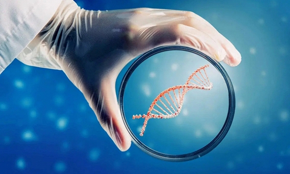 Bạn thực sự bao nhiêu tuổi?