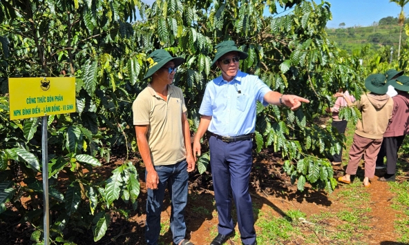 Canh tác cà phê thông minh: Hướng đi bền vững cho ngành cà phê Tây Nguyên