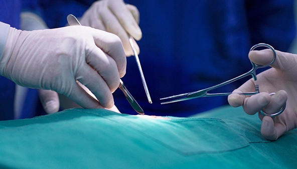 Miếng dán sinh học giúp cầm máu và dán mô trong vài giây, hứa hẹn thay thế chỉ khâu trong phẫu thuật