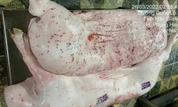 Sóc Trăng lập đoàn kiểm tra thông tin C.P. Việt Nam bị tố vi phạm an toàn thực phẩm