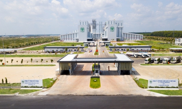 C.P. Việt Nam bị tố bán thịt heo bệnh: Gã khổng lồ ngành chăn nuôi làm ăn ra sao?