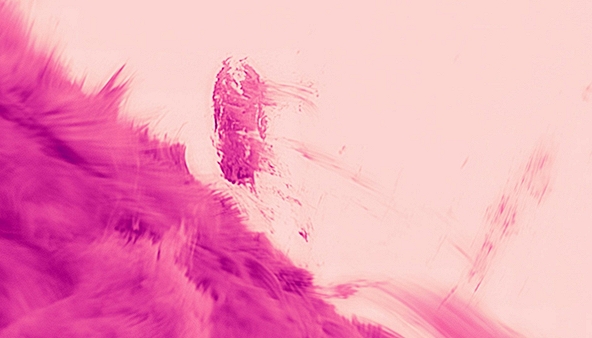 Công bố hình ảnh chưa từng có về 'giọt mưa hồng' trên Mặt trời