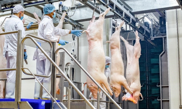 Mua thịt ủ mát tại siêu thị: An toàn - truy xuất nguồn gốc rõ ràng