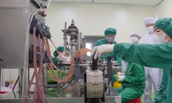 Nano Dihydroquercetin - Giải pháp khoa học hỗ trợ điều trị rối loạn lipid máu, bảo vệ tim mạch và não bộ