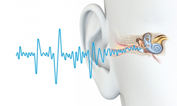 Liệu pháp gen mở ra hy vọng phục hồi thính giác ở người trưởng thành