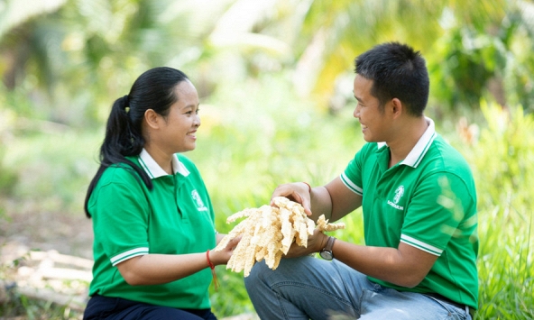 Bỏ phố về quê, đôi vợ chồng trẻ chinh phục thị trường thế giới bằng mật dừa