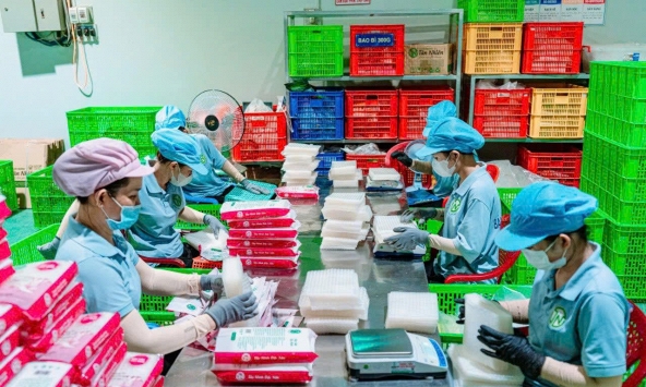 Bánh tráng không nhúng nước đầu tiên tại Việt Nam: Hành trình khởi nghiệp từ đặc sản quê hương 