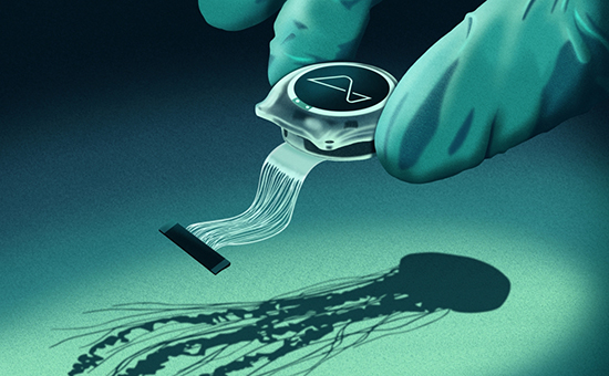 Neuralink lập cột mốc lịch sử: 2 bệnh nhân được cấy chip não trong cùng 1 ngày