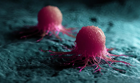 Vaccine nano mới tiêu diệt tận gốc tế bào ung thư, ngăn tái phát và di căn