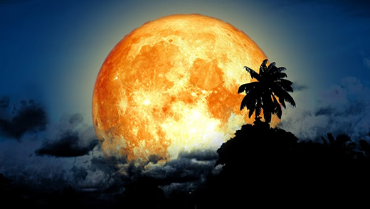 Hiện tượng siêu trăng “Trăng cá tầm” sẽ thắp sáng bầu trời vào ngày mai