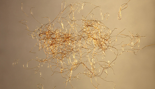 Hàn Quốc tái sinh vải vàng huyền thoại từ phế phẩm loài sò