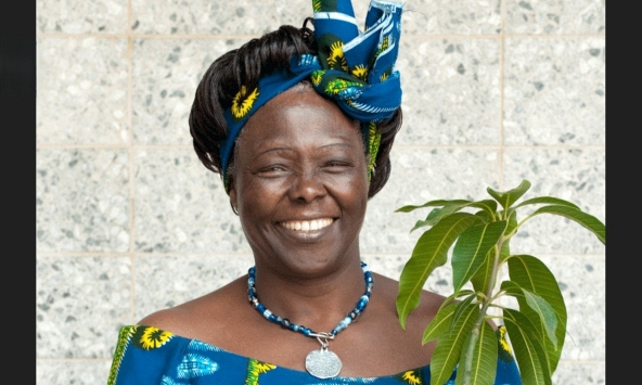 Wangari Maathai người phụ nữ Kenya đã biến hàng triệu cây xanh thành tiếng nói cho công lý