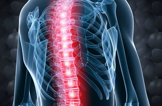 Nghiên cứu đột phá mở đường cho giải pháp ghép tủy an toàn hơn cho trẻ em