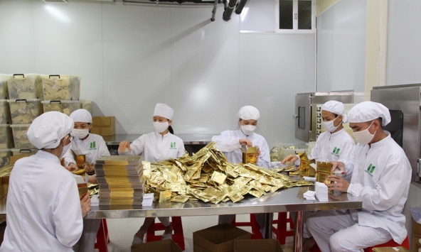 Dược liệu Việt: Sở hữu 5.000 loài thuốc, vì sao vẫn lệ thuộc 75% nguyên liệu nhập ngoại?