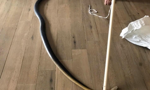 Hé lộ nguyên nhân rắn xuất hiện tại chung cư Westbay Ecopark?