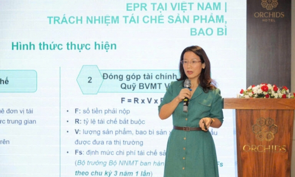 Hướng đi nào cho doanh nghiệp Việt trong kỷ nguyên xanh?