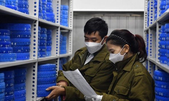 Kho phim Viện Phim Việt Nam – Bảo vật điện ảnh giữa cuộc cách mạng số