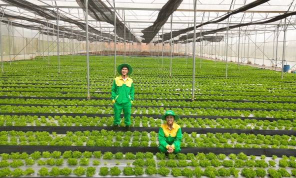 WinEco 10 năm kiên định với mô hình tiên phong nông nghiệp công nghệ cao