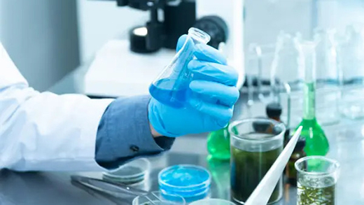 Nhóm nghiên cứu gốc Việt thành công giải mã cách thực vật tạo ra chất hiếm chống ung thư