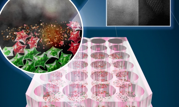 Dùng đèn LED tiêu diệt tế bào ung thư, công nghệ mới mở đường cho giải pháp điều trị ung thư ngay tại nhà