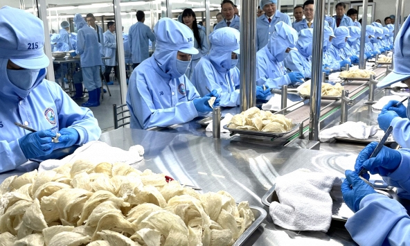 Khánh Hòa làm gì để bảo tồn và phát huy Di sản Văn hóa phi vật thể Quốc gia Yến sào?