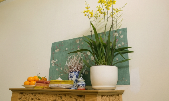 Đặt chậu hoa lên bàn thờ: Đẹp hay đại kỵ? Chuyên gia nói câu này khiến ai cũng giật mình