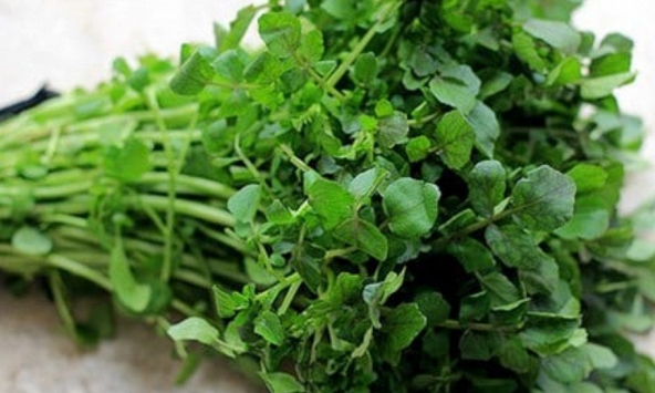 Mỹ đánh giá đây là “vua của các loại rau”, chứa đầy dưỡng chất quý, người Việt đã ăn từ lâu