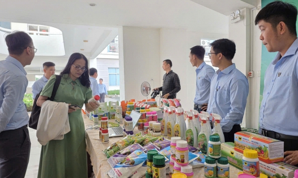 Thực phẩm sạch không gian xanh giải pháp từ nông nghiệp đô thị giữa lòng thành phố