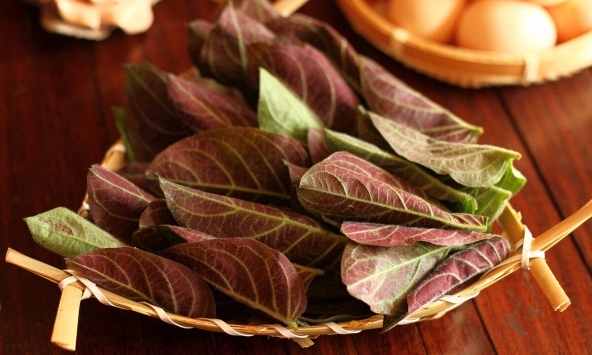 Thứ lá rẻ tiền, có đầy ở Việt Nam, tốt bất ngờ với nam giới: Ai trước giờ không biết ăn quá phí