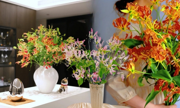 Hoa ngót nghẻo đẹp mê như bó lửa đỏ nhưng cực độc: Mẹ nào mê cắm Tết nhớ đọc kỹ trước khi mua