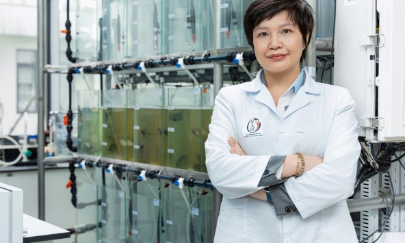 PGS.TS Ngô Thị Thúy Hường: Nhà khoa học bền bỉ với sứ mệnh bảo vệ môi trường và đào tạo thế hệ trẻ