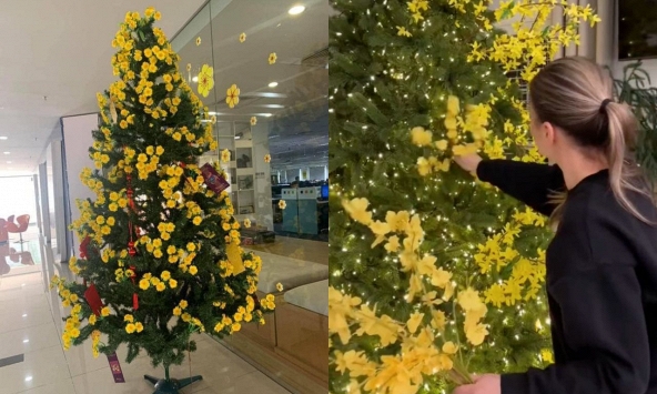 Tha cho cây thông Noel đi, Tết còn tận 3 tháng nữa mới đến