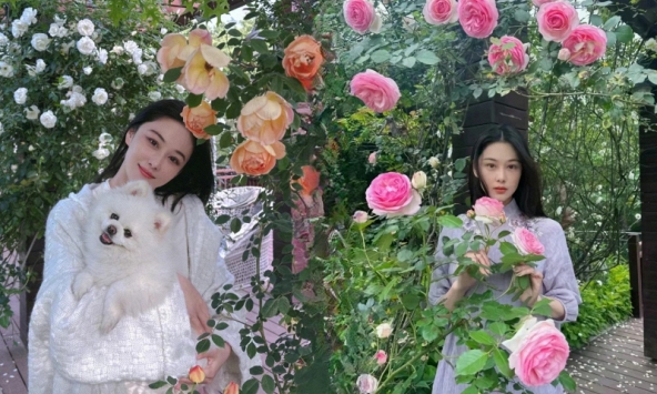 Từng là mỹ nhân thị phi, giờ là “bà chủ nông trại nhỏ”: Trương Hinh Dư khoe vườn hoa, vườn rau đẹp như tranh Monet khiến chị em phát sốt