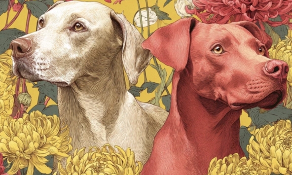 Khổ tận cam lai! Ai xui thì xui chứ 3 con giáp này sang năm 2026 như 'cá gặp nước', mở ví hứng tiền, gia đạo viên mãn