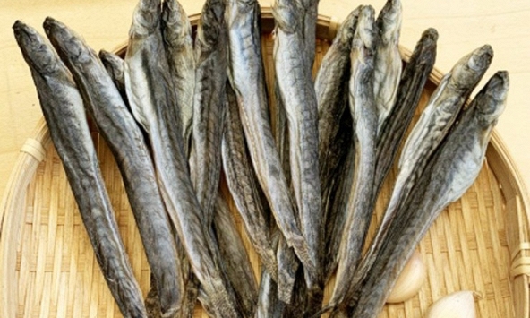 Loại 'cá nhà nghèo' ngọt như mì chính, được ví là 'sâm nước', giá tới nửa triệu đồng 1kg