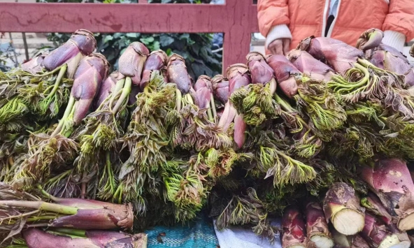 Việt Nam có loại rau mọc dại, nhưng ở Trung Quốc lại là 'cao lương mỹ vị số 1': Bổ ngang nhân sâm, bán đắt hơn cả thịt