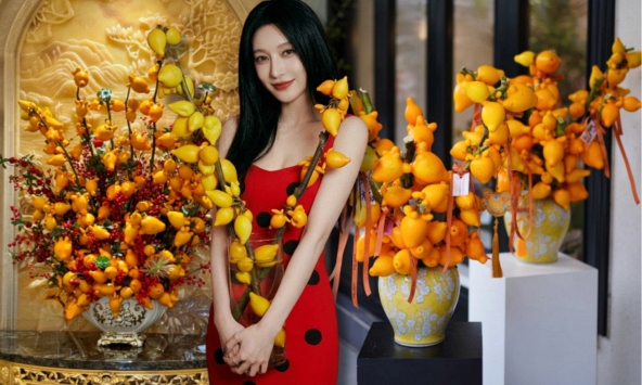 'Cây tài lộc' ít người biết: Quả vàng óng 5 múi, chưng Tết 2026 mang ý nghĩa 'ngũ phúc lâm môn', tiền vào như nước