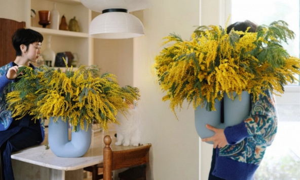 Vì sao giới nhà giàu lại chi hàng triệu mua 'nàng thơ nước Úc' về chưng Tết? Câu trả lời nằm ở 4 chữ 'phú quý trường cửu'