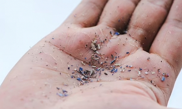 Top 2 loại củ quả ngậm đầy vi nhựa, nhiều người Việt vẫn vô tư ăn hàng ngày