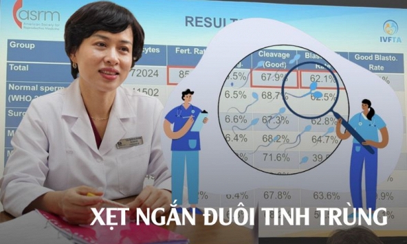 'Xoắn ngắn đuôi tinh trùng' - phương pháp tăng cơ hội làm cha mẹ cho cả phụ nữ dự trữ buồng trứng thấp và nam giới tinh trùng ít