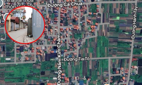 Xôn xao đường ở Hà Nội đặt tên Cà Chua, Hành Tây, Nấm Kim Châm: Sự thật bất ngờ