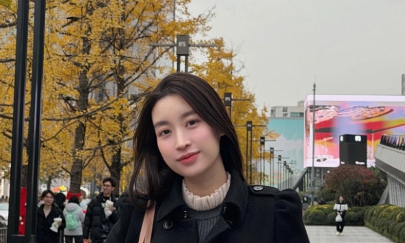 Tình hình hiện tại của Đỗ Mỹ Linh